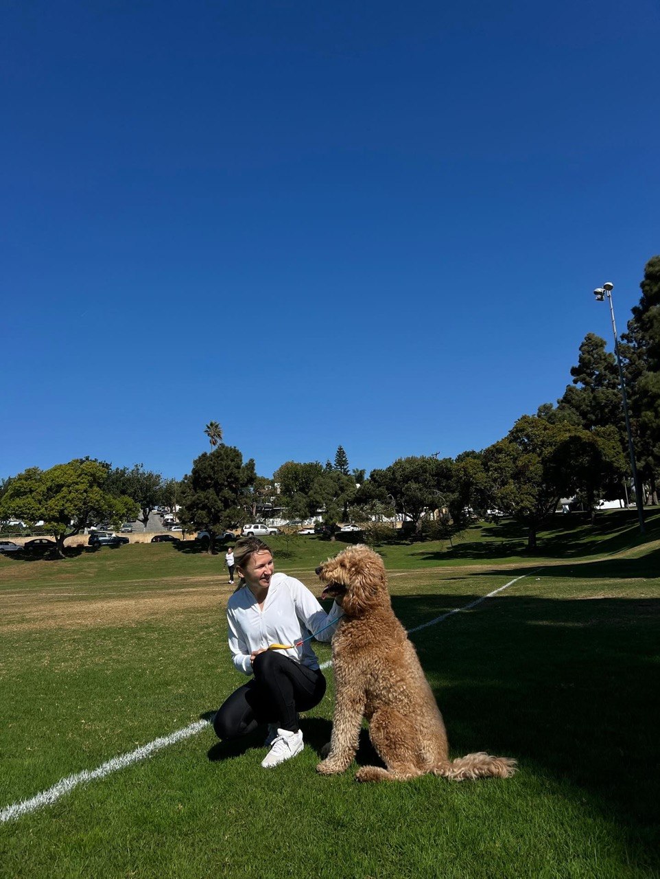 Focus work with a Goldendoodle at a South Bay park