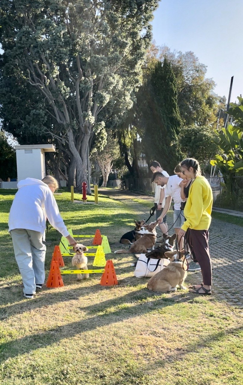 Corgi cohort working platform drills at the Gardena facility