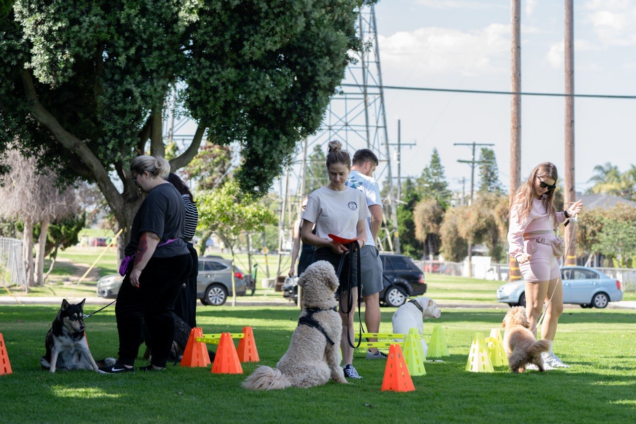 Group class working focus drills with cones at a Los Angeles park